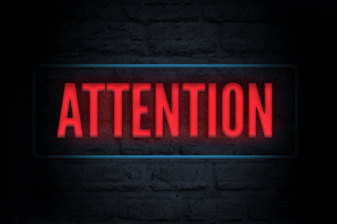 Samedi 29 novembre. Entraînement babys, éveils et poussins