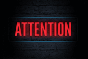 Samedi 29 novembre. Entraînement babys, éveils et poussins