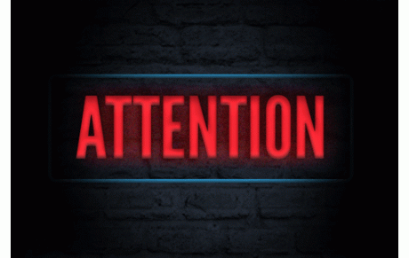 Samedi 29 novembre. Entraînement babys, éveils et poussins